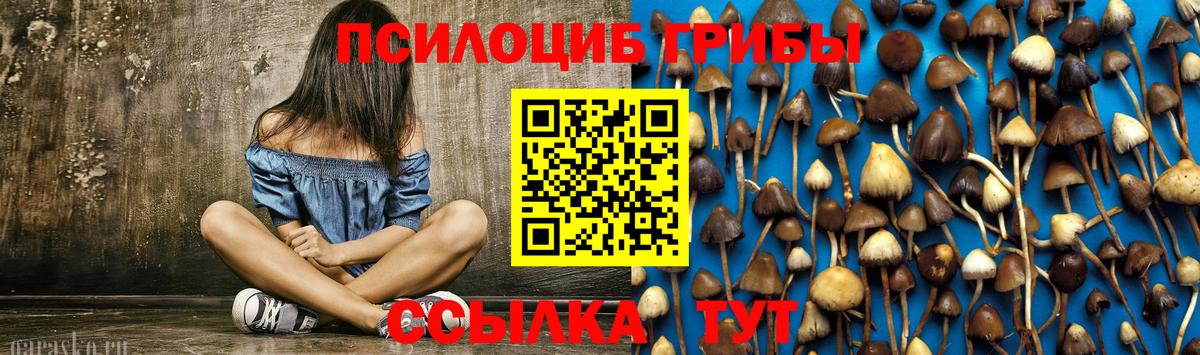 Псилоцибиновые грибы ЛСД  Вход с VPN  Кириши 